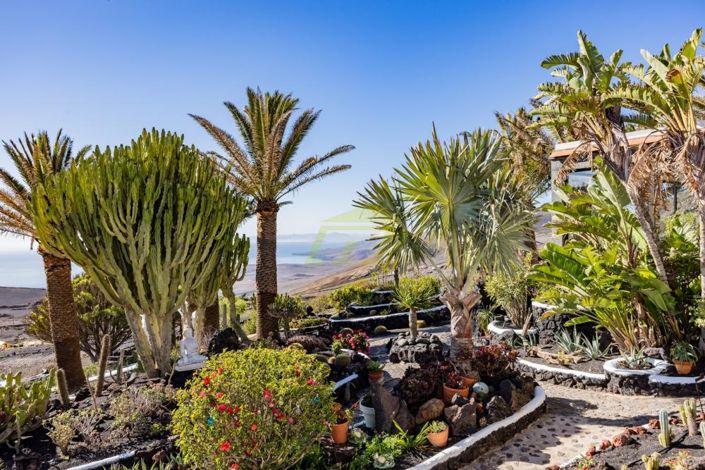 Image No.10-6 Bed Villa for sale