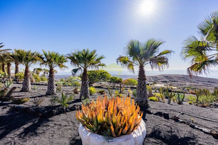 Image No.16-6 Bed Villa for sale