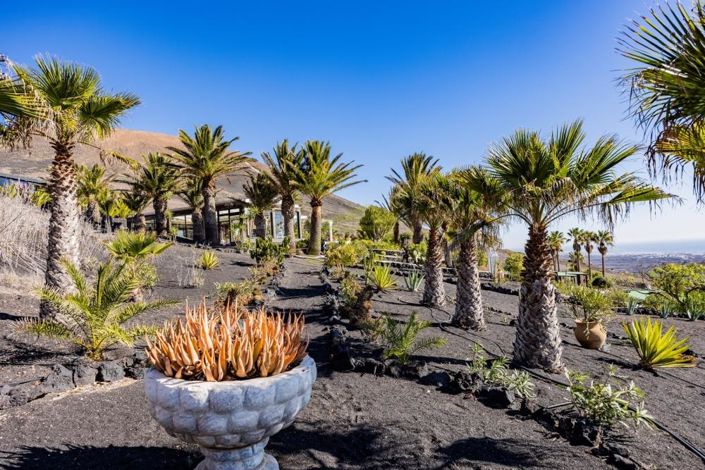 Image No.18-6 Bed Villa for sale