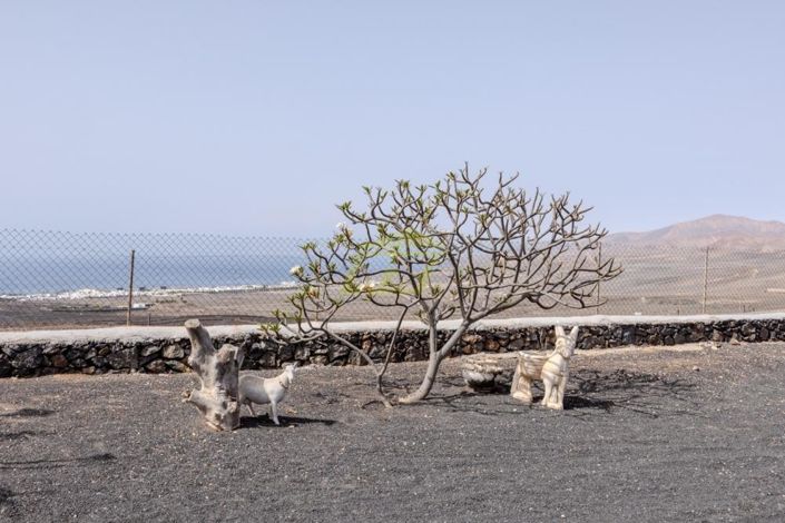 Image No.23-Villa à vendre à Macher