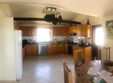 Beautiful 3 bedroom family villa with mature gardens private swimming pool and apartment in Nazaret