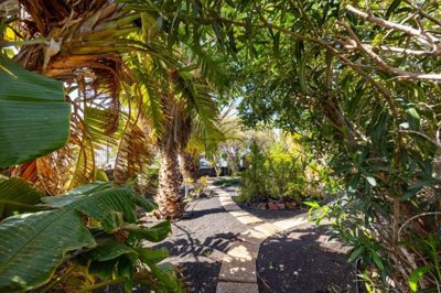 Spacious Family Home in Central Tias Location