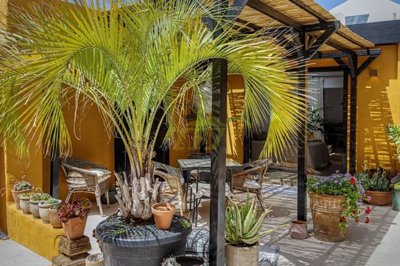 Charming Rural Retreat with Character, Outdoor Spaces and Guest Potential