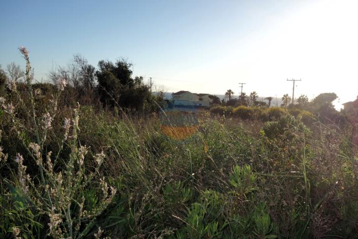 Image No.5-Land for sale