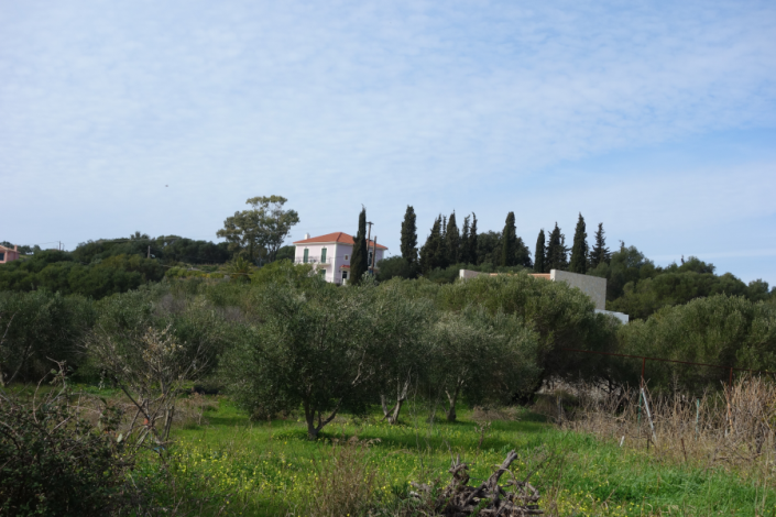 Image No.5-Land for sale