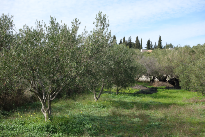 Image No.6-Land for sale