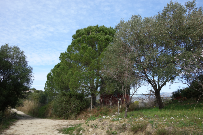 Image No.8-Land for sale