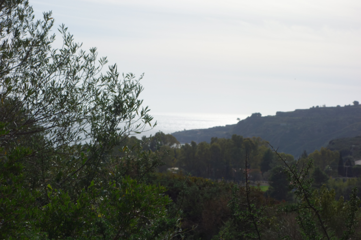 Image No.9-Land for sale