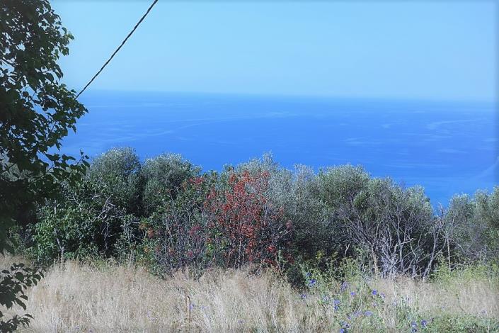 Image No.2-Plot for sale