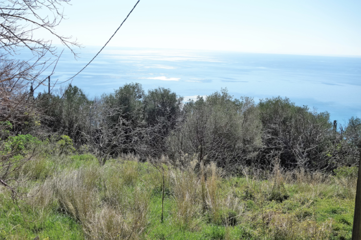 Image No.7-Plot for sale