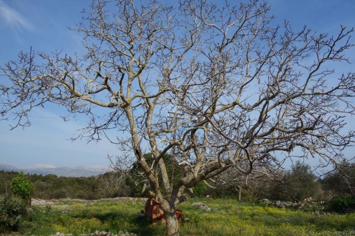 Image No.12-2 Bed House for sale