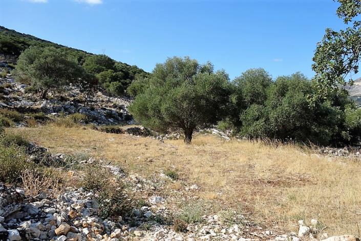 Image No.5-Plot for sale