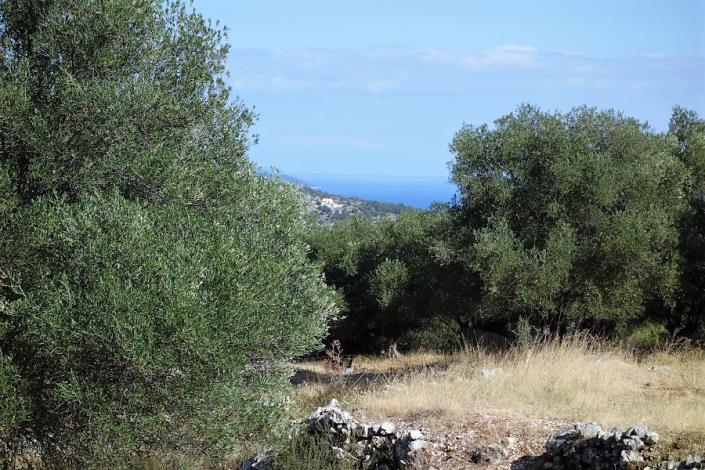 Image No.12-Plot for sale