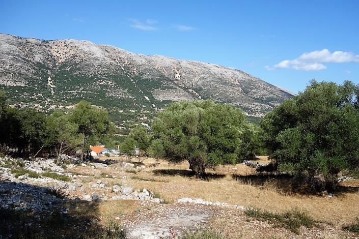 Image No.13-Plot for sale