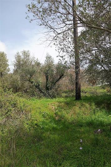 Image No.15-Terrain à vendre à Mavrata