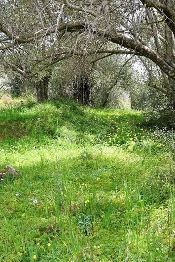 Image No.16-Terrain à vendre à Mavrata