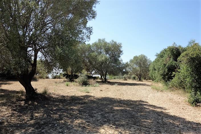 Image No.6-Plot for sale