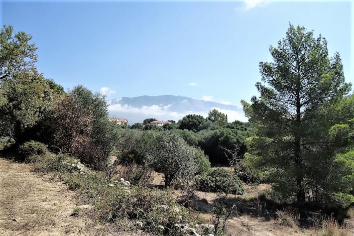 Image No.9-Plot for sale