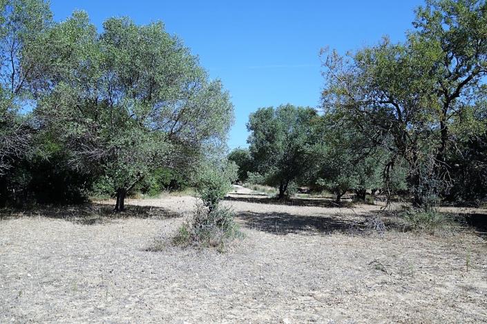 Image No.10-Plot for sale