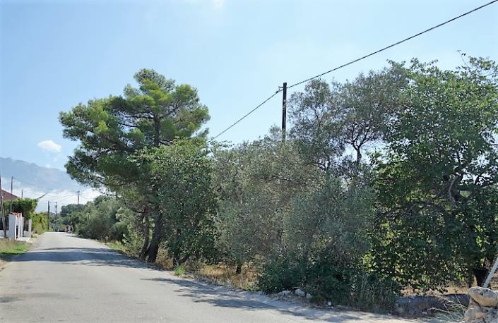 Image No.12-Plot for sale