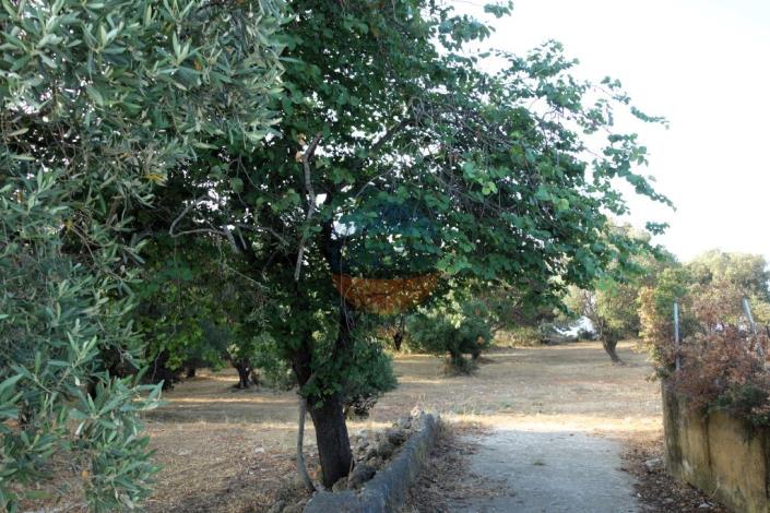 Image No.7-Plot for sale