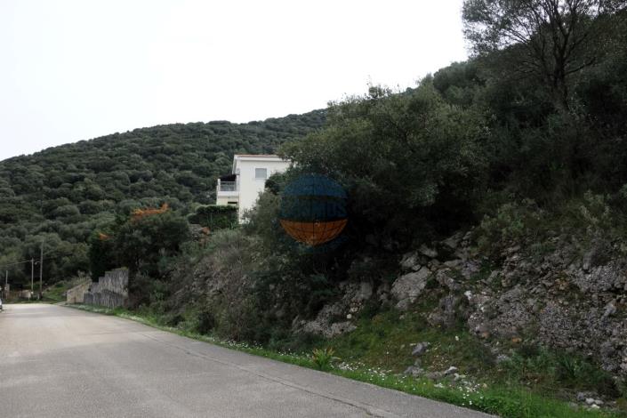 Image No.5-Terre à vendre à Agia Efimia