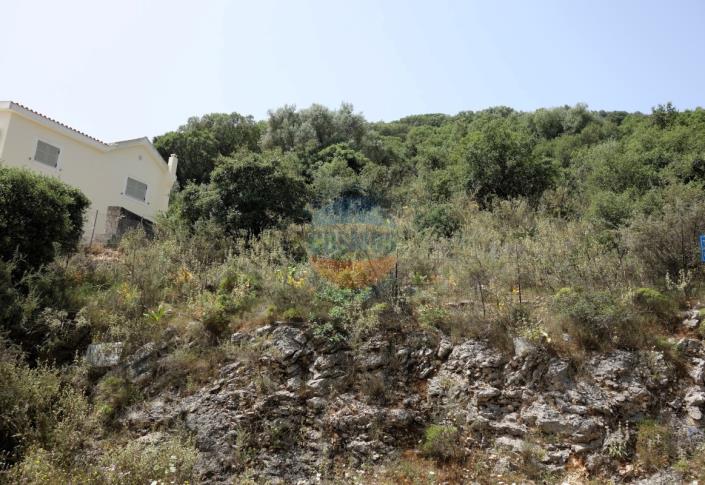 Image No.7-Terre à vendre à Agia Efimia