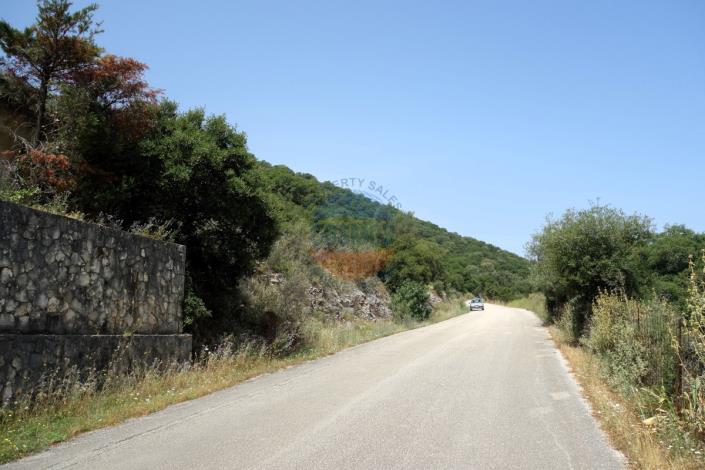 Image No.3-Terre à vendre à Agia Efimia