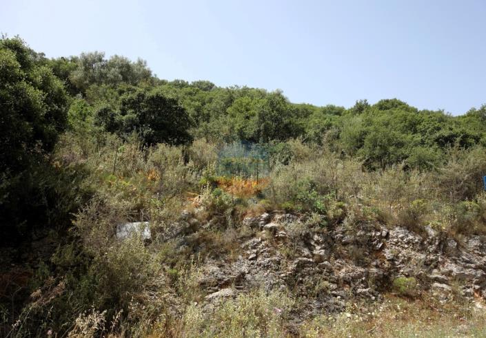 Image No.10-Terre à vendre à Agia Efimia