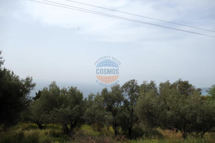 Image No.1-Plot for sale