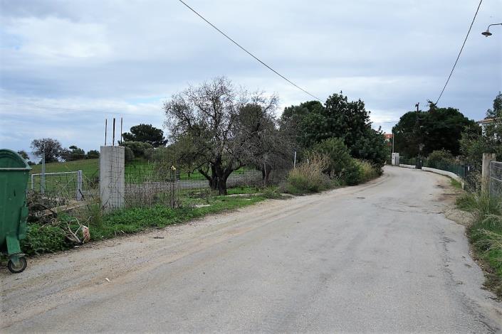 Image No.6-Terre à vendre à Skala