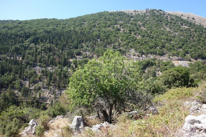 Image No.6-Plot for sale