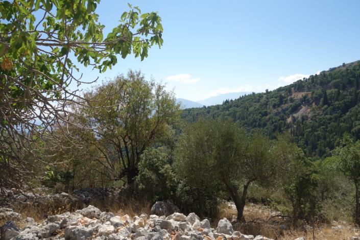 Image No.7-Plot for sale