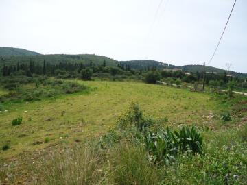 LAND-FOR-SALE-7
