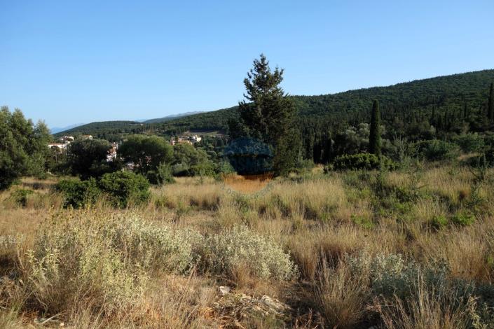 Image No.2-Terre à vendre à Fiskardo