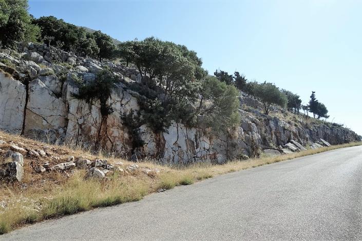 Image No.5-Terre de 4 chambres à vendre à Dendrinata