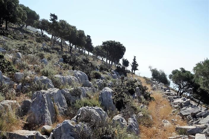 Image No.10-Terre de 4 chambres à vendre à Dendrinata