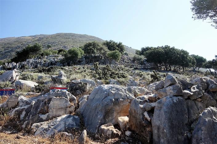 Image No.11-Terre de 4 chambres à vendre à Dendrinata