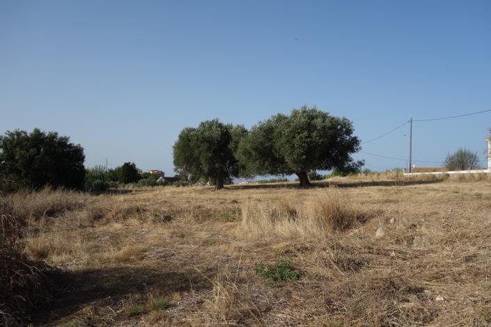 Image No.6-Plot for sale