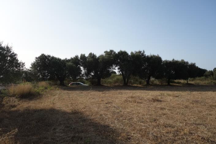 Image No.14-Plot for sale