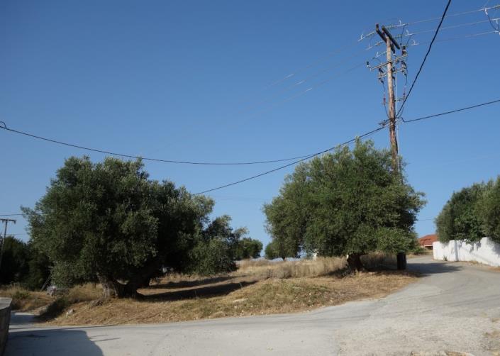 Image No.28-Plot for sale