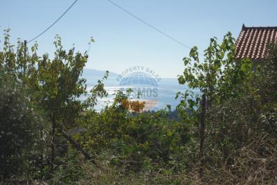 Terrain à vendre à Mousata