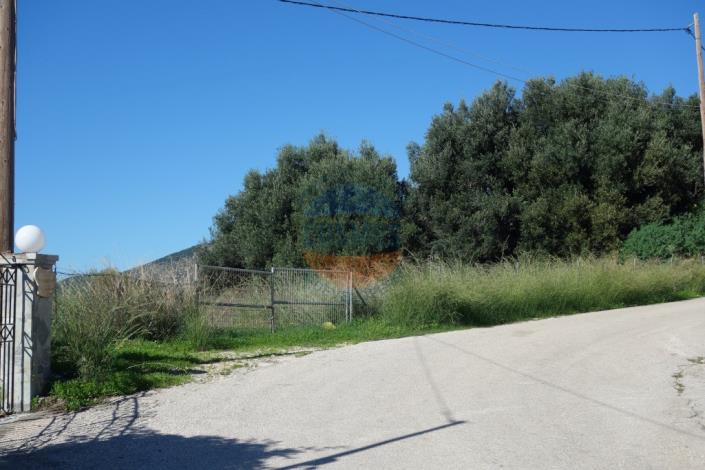 Image No.3-Terrain à vendre à Mousata