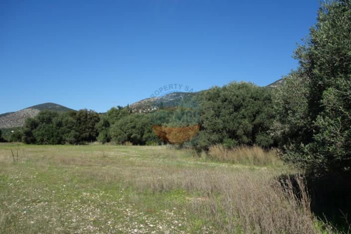 Image No.6-Terrain à vendre à Mousata