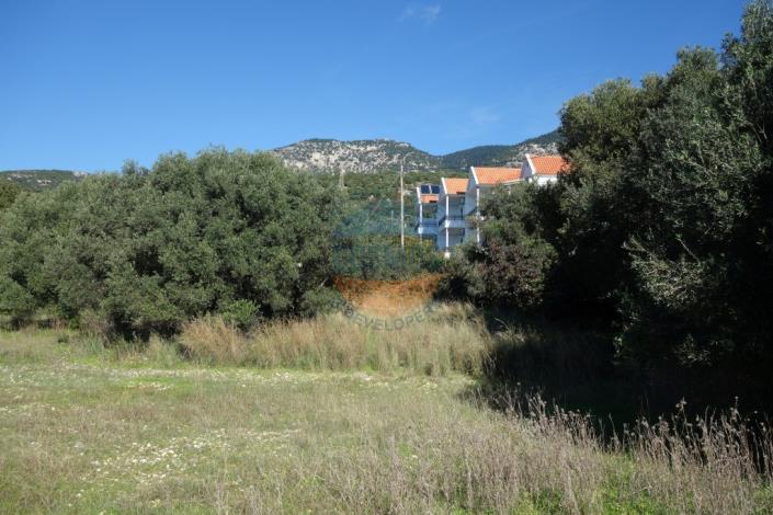 Image No.7-Terrain à vendre à Mousata