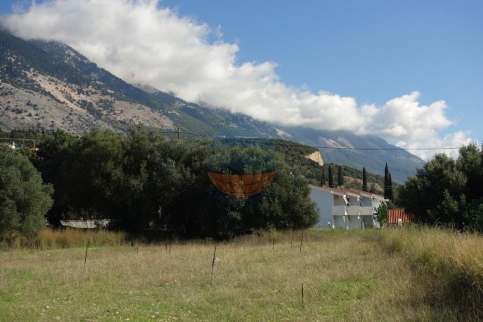 Image No.10-Terrain à vendre à Mousata