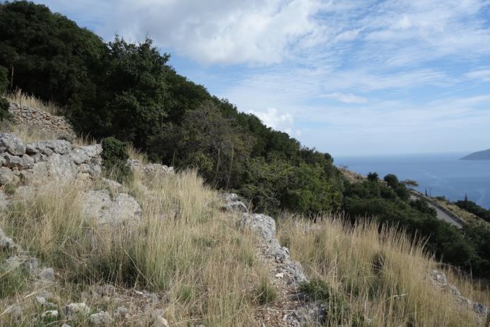 Image No.7-Terre à vendre à Dendrinata