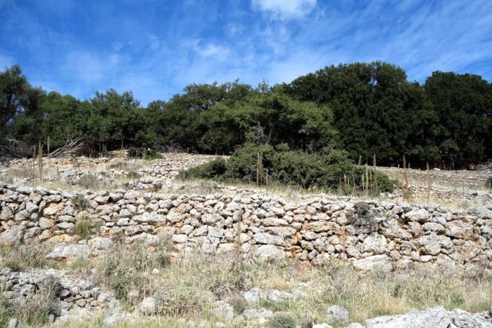 Image No.8-Terre à vendre à Dendrinata