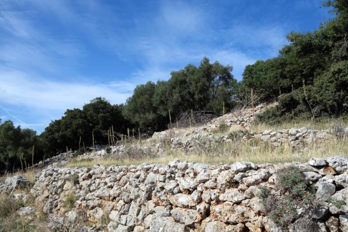 Image No.11-Terre à vendre à Dendrinata