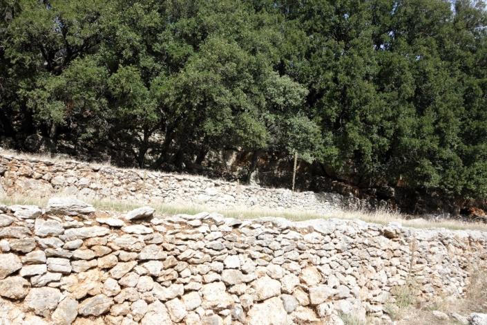 Image No.15-Terre à vendre à Dendrinata